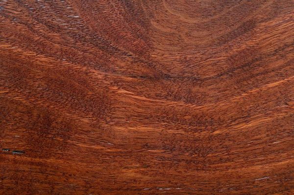 timber flooring melbourne blackbutt (3)