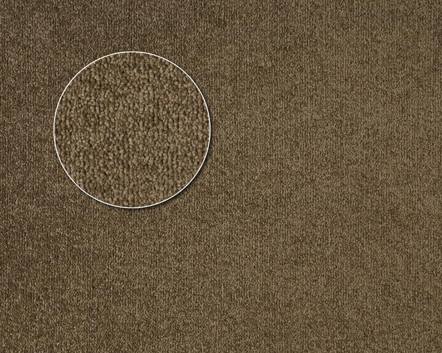 Apartment 2 feat img.jpg