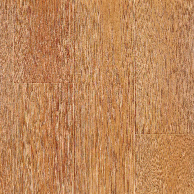 Butternut-2201