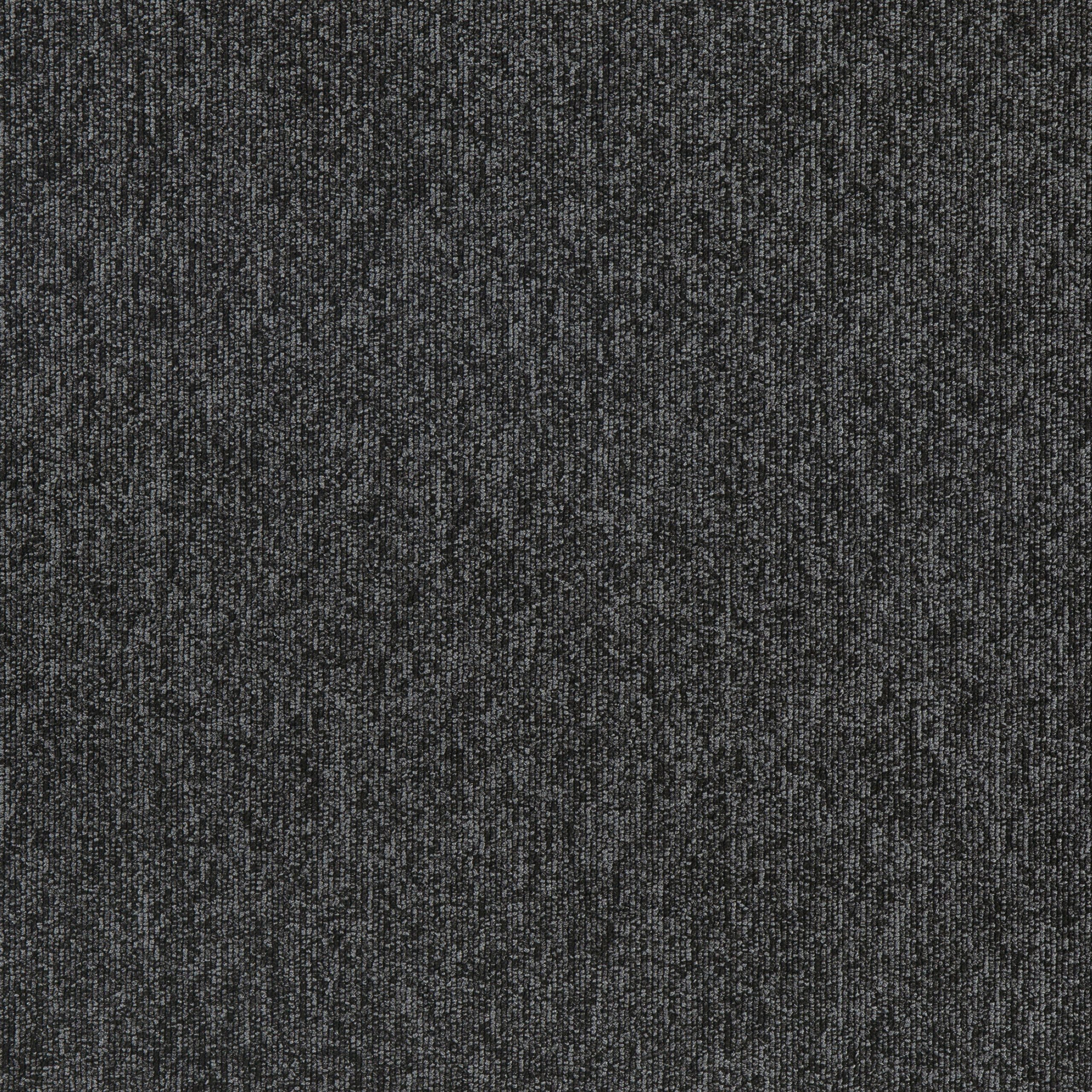 Grey Pearl