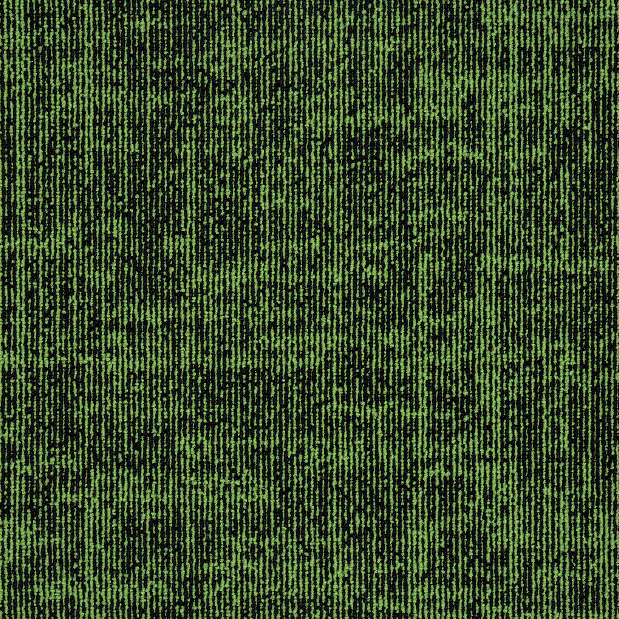 Moss