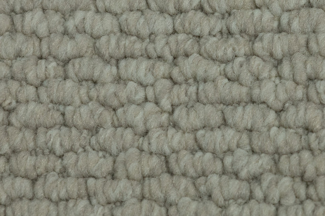 Olca 2404
