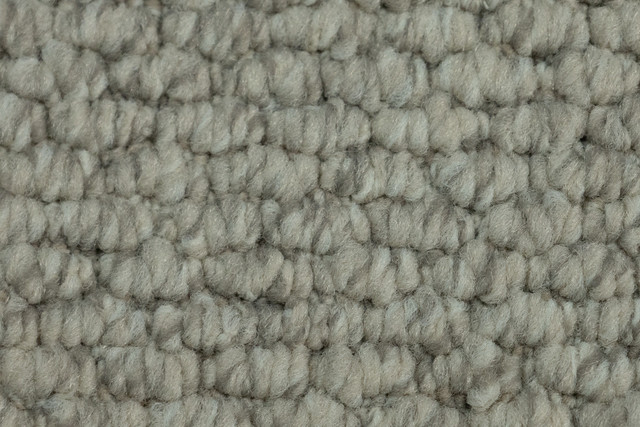 Patilla 2406