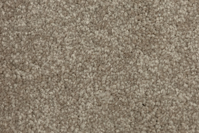 Soft Taupe
