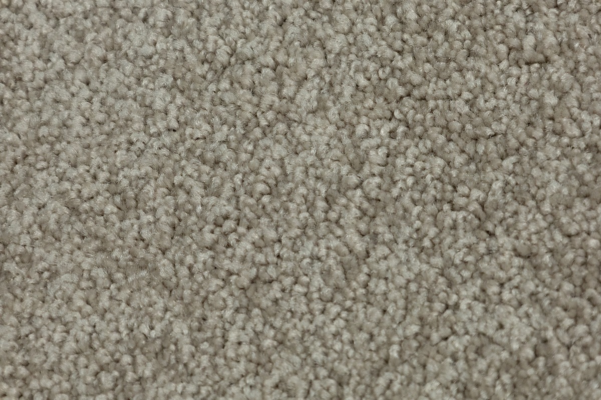 Fossil Beige