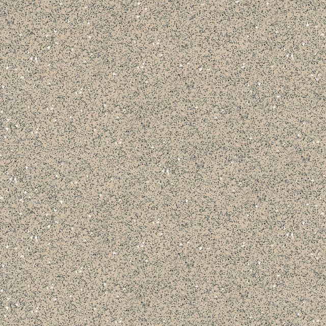 Sandy Beige Chip (R10)