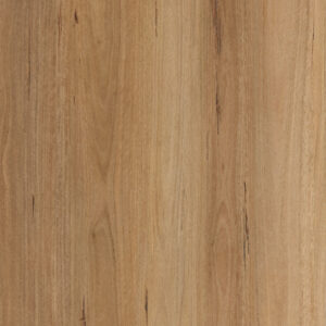 Blackbutt