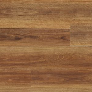 Spotted Gum