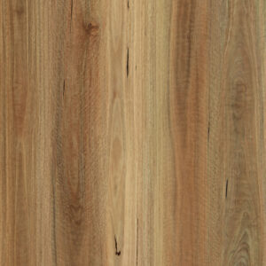 Spotted Gum