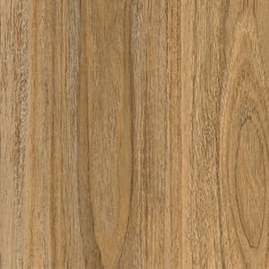 Blonde Spotted Gum