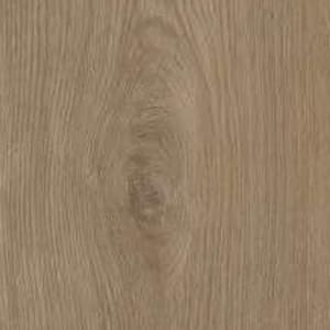 Cosmo Oak