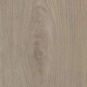 Fall Oak