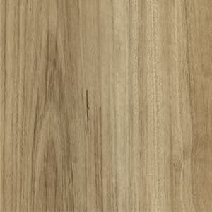 Limed Blackbutt
