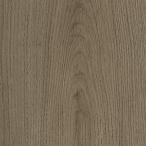 Northern Oak