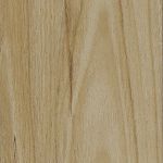 Alpine Blackbutt
