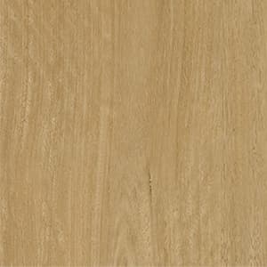Blackbutt