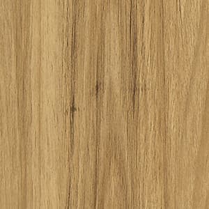 Blackbutt