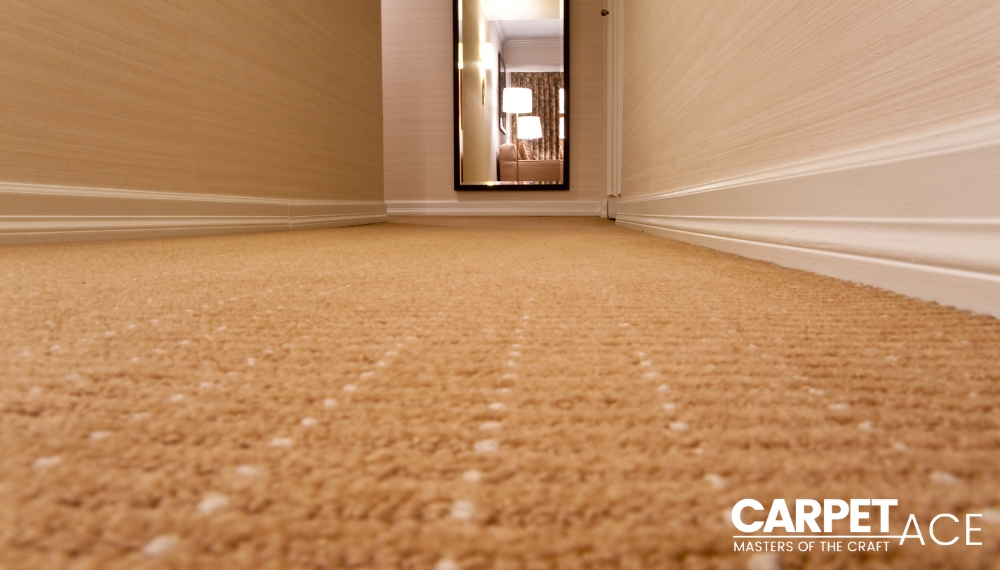 Comparing Carpet Flooring Options in Melbourne