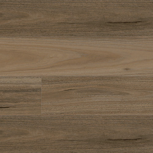 Country Spotted Gum