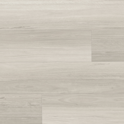 Dapple Grey