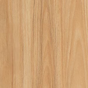 Eastern Blackbutt