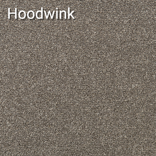 Hoodwink