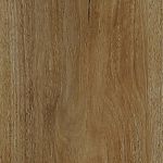 Mallee Gum