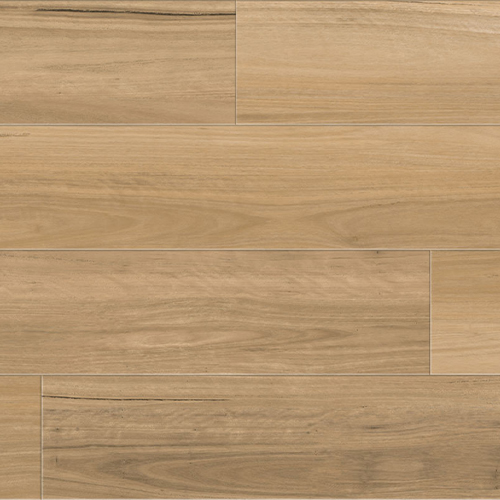 NSW Blackbutt
