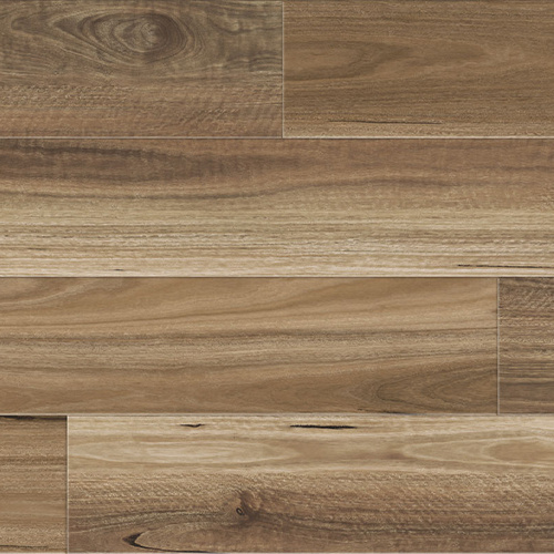 Native Spotted Gum