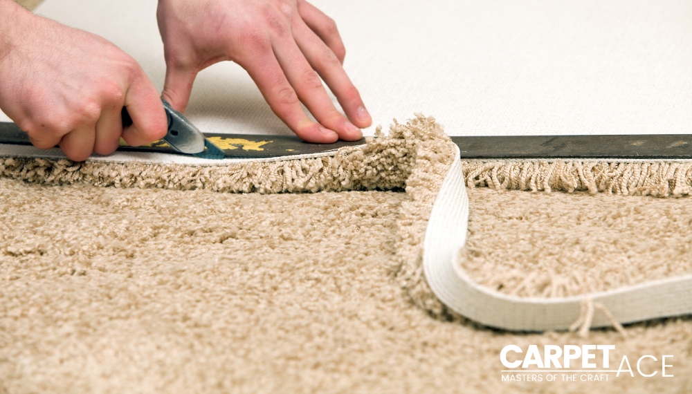 Residential Carpet Installation in Melbourne That Feels Like Home Residential-Carpet-Installation-in-Melbourne-That-Feels-Like-Home