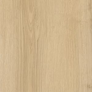 Seaside Oak