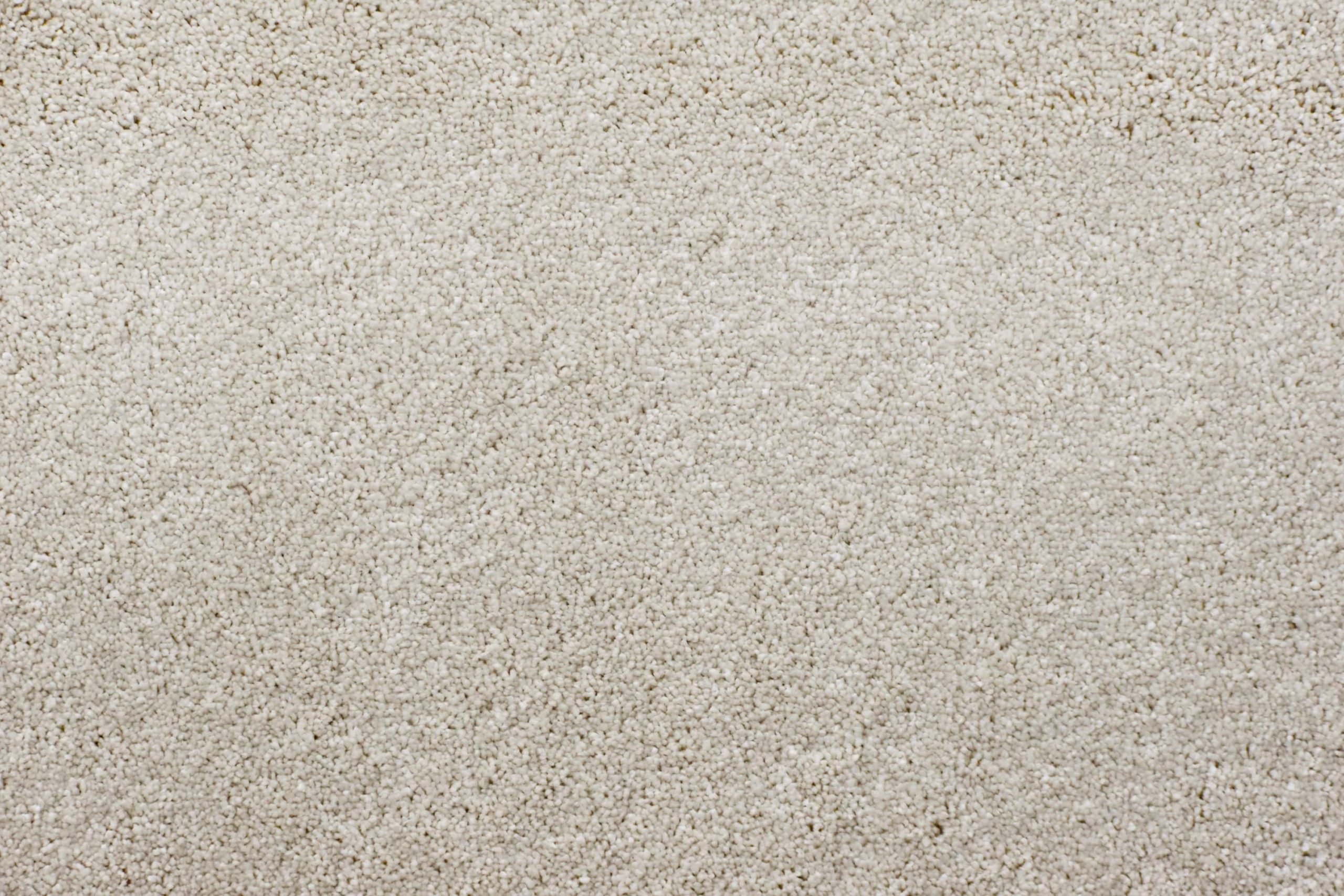 Snowfield