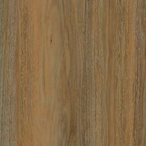 Spotted Gum