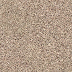 Warm Beige