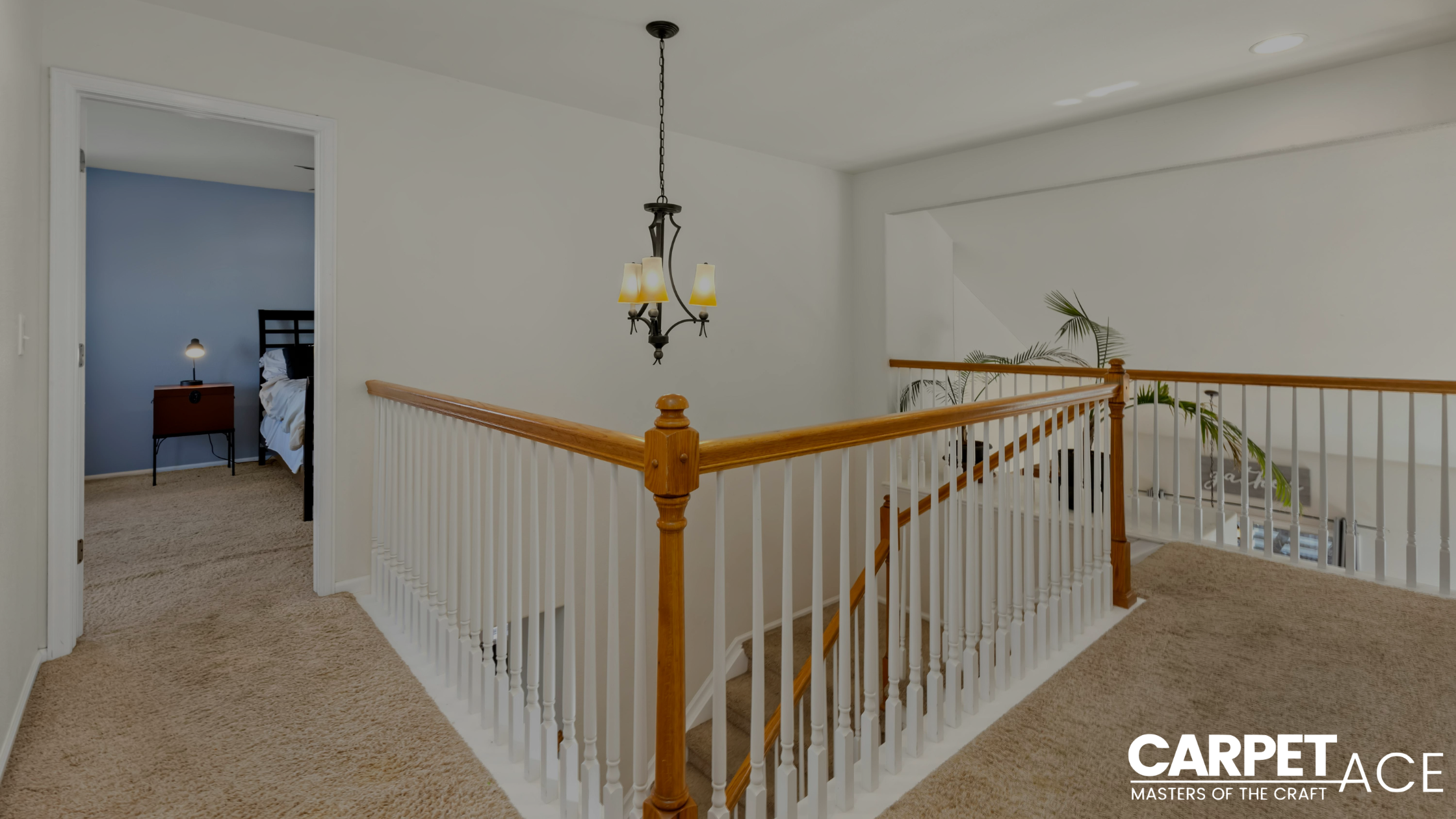 How to Choose Hallway Carpets for Sale for Commercial Flooring Projects