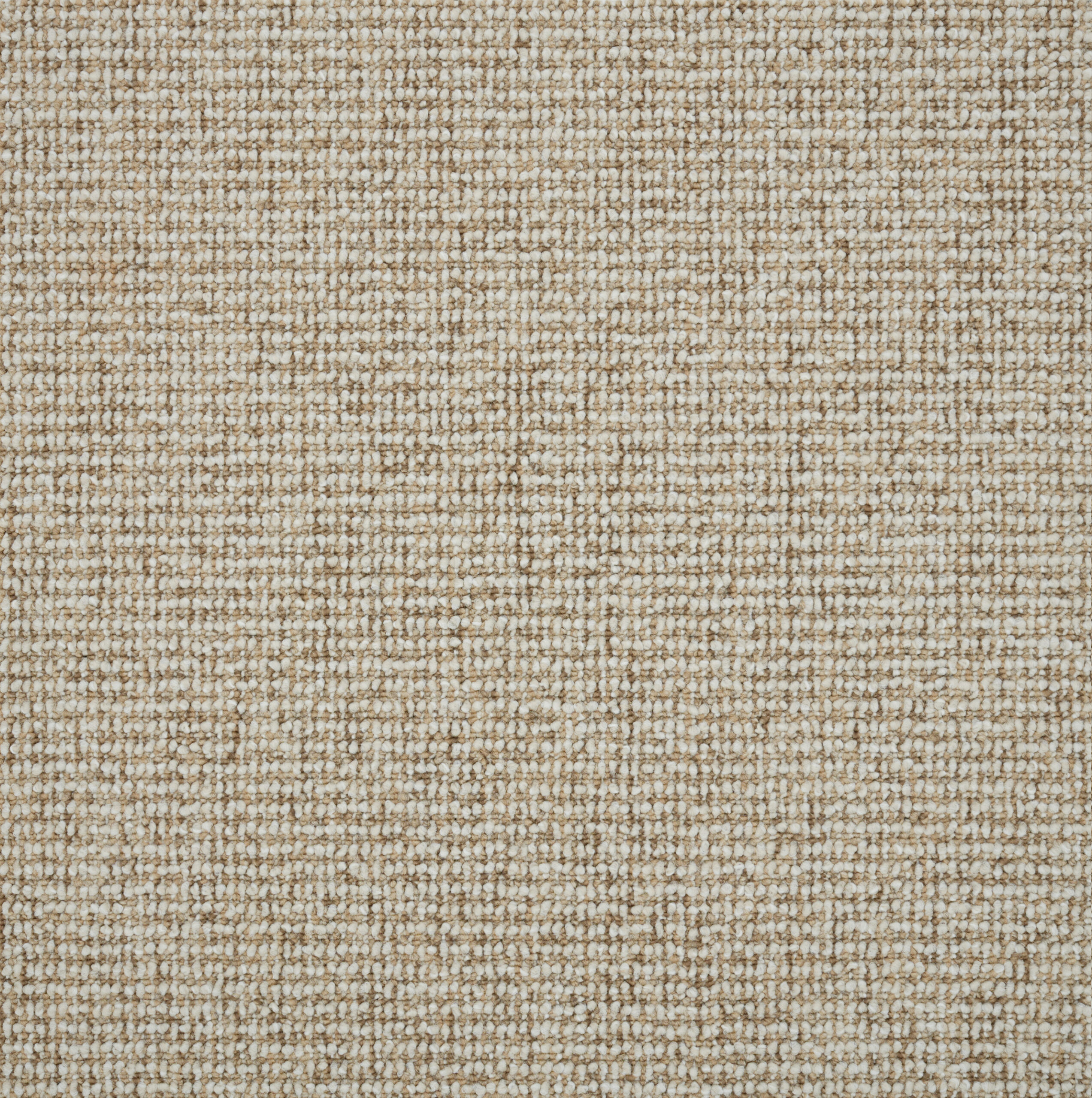 Warwick Estate carpet in Anderson