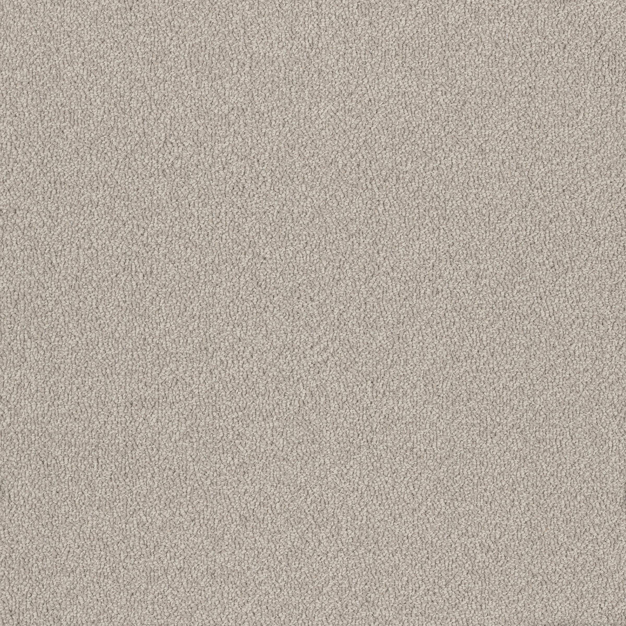 Birdwood carpet in Angas