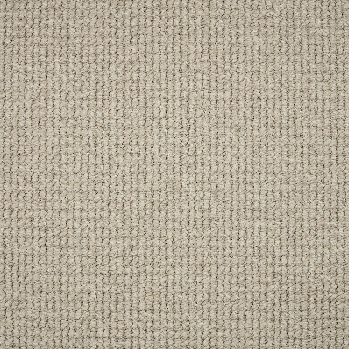 Palmetto carpet in Florida