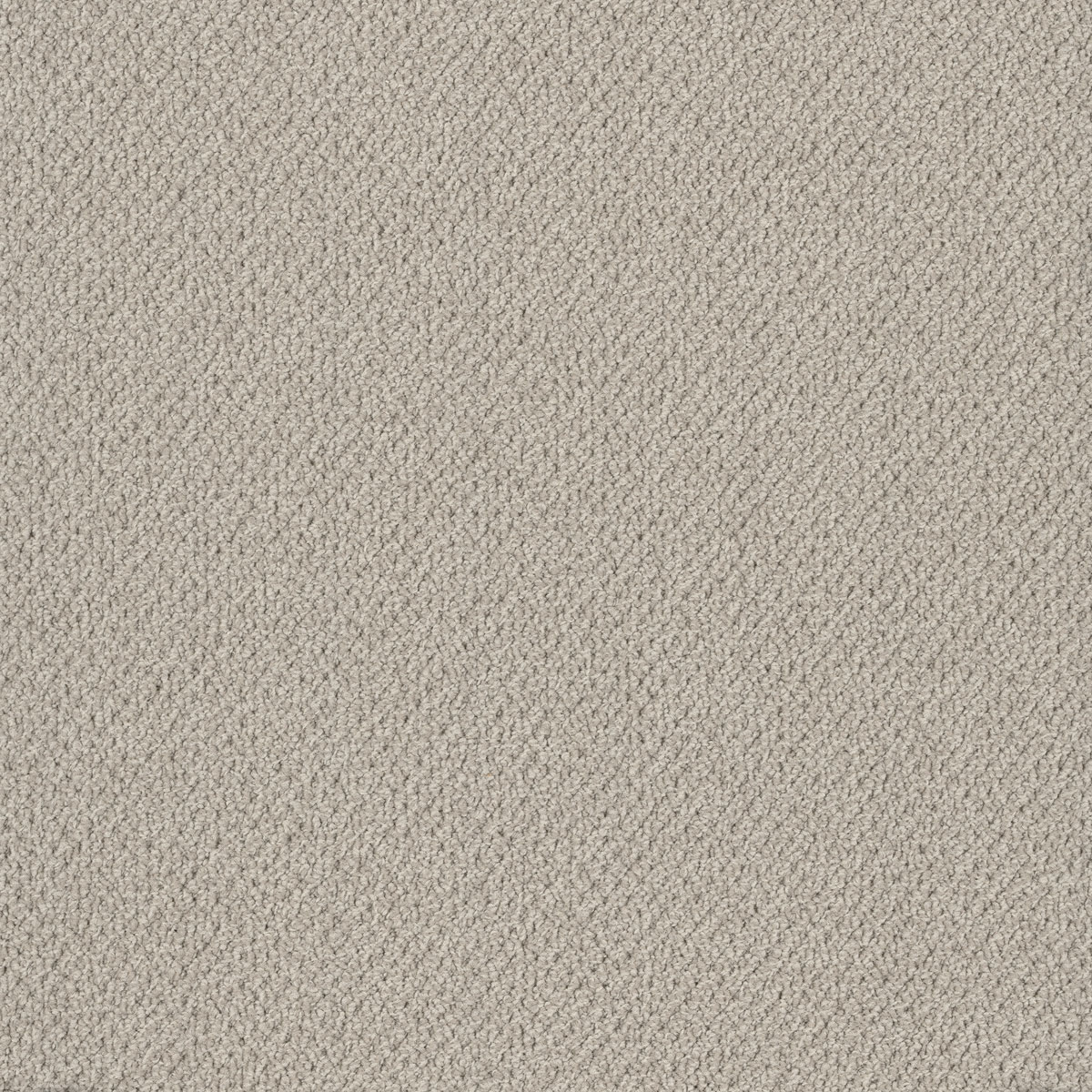Bourkesgate carpet in Kidman