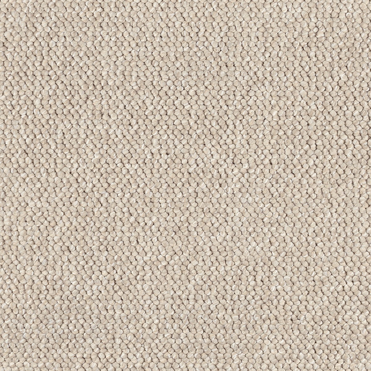 Bordeaux carpet in Lorient