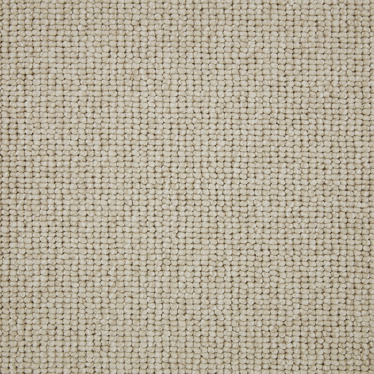 Tuscany carpet in Pisa