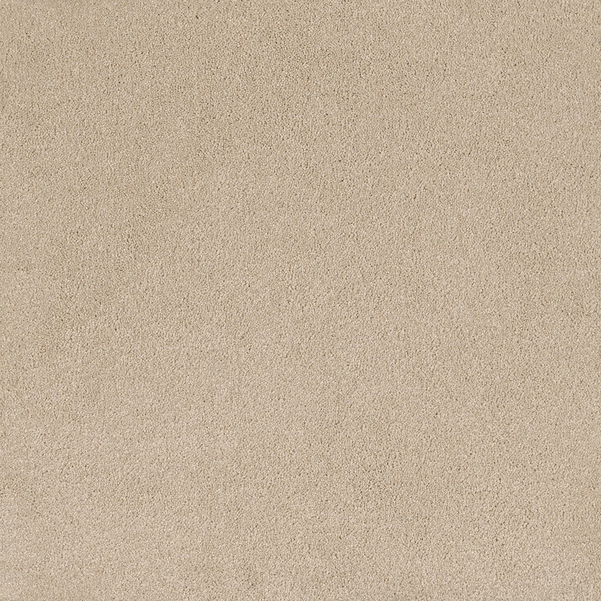 District Loft carpet in Quarter