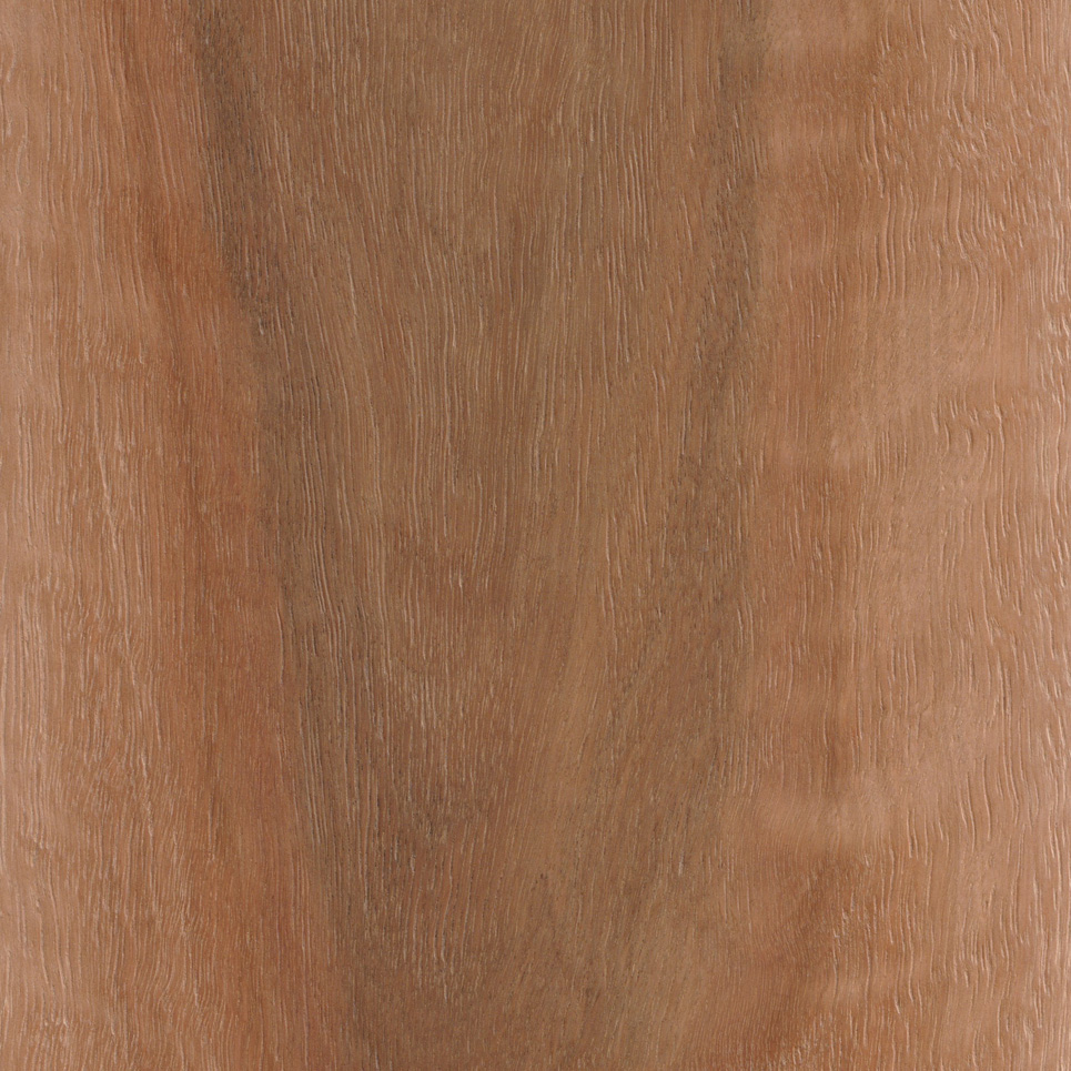 Barrington in Spotted Gum 190