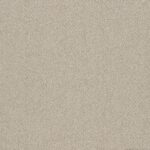 Birdwood carpet in Teralinga