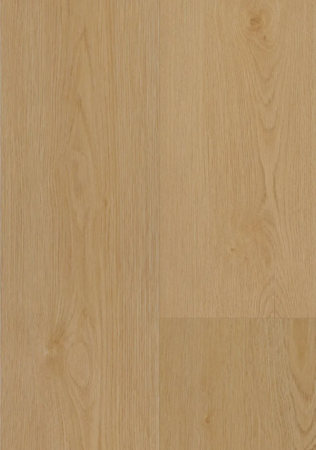 Coastal Oak