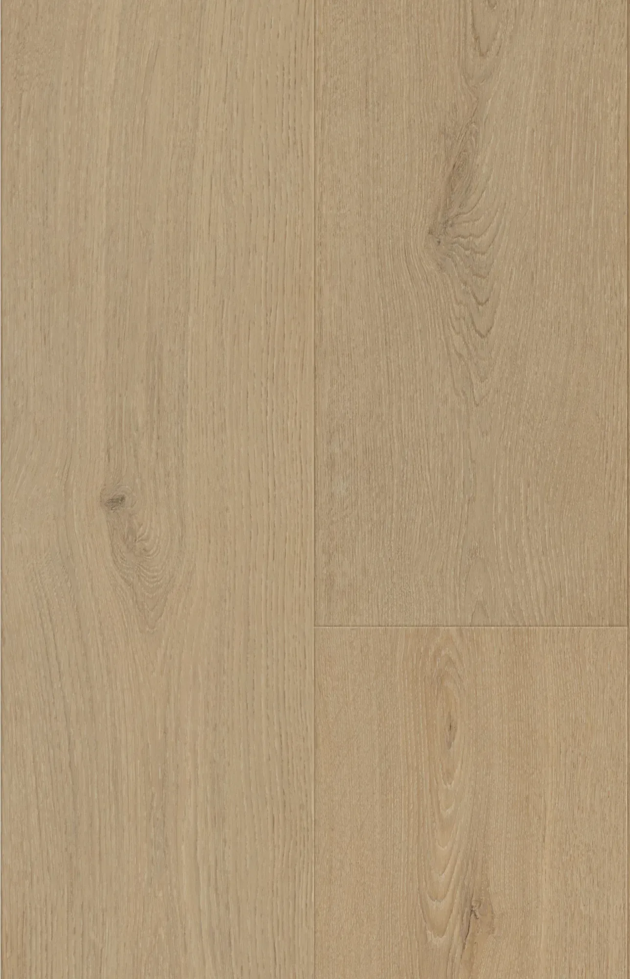 Stirling Oak